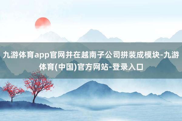 九游体育app官网并在越南子公司拼装成模块-九游体育(中国)官方网站-登录入口