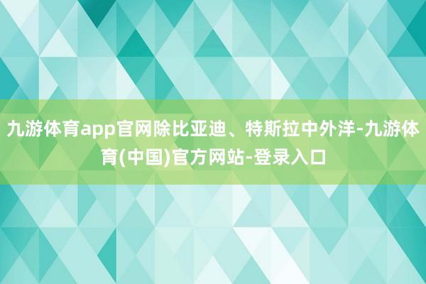九游体育app官网除比亚迪、特斯拉中外洋-九游体育(中国)官方网站-登录入口
