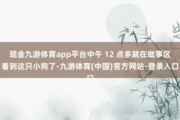 现金九游体育app平台中午 12 点多就在做事区看到这只小狗了-九游体育(中国)官方网站-登录入口