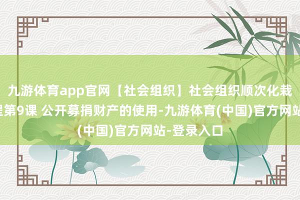 九游体育app官网【社会组织】社会组织顺次化栽植在线课程第9课 公开募捐财产的使用-九游体育(中国)官方网站-登录入口