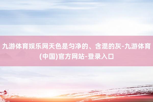 九游体育娱乐网天色是匀净的、含混的灰-九游体育(中国)官方网站-登录入口